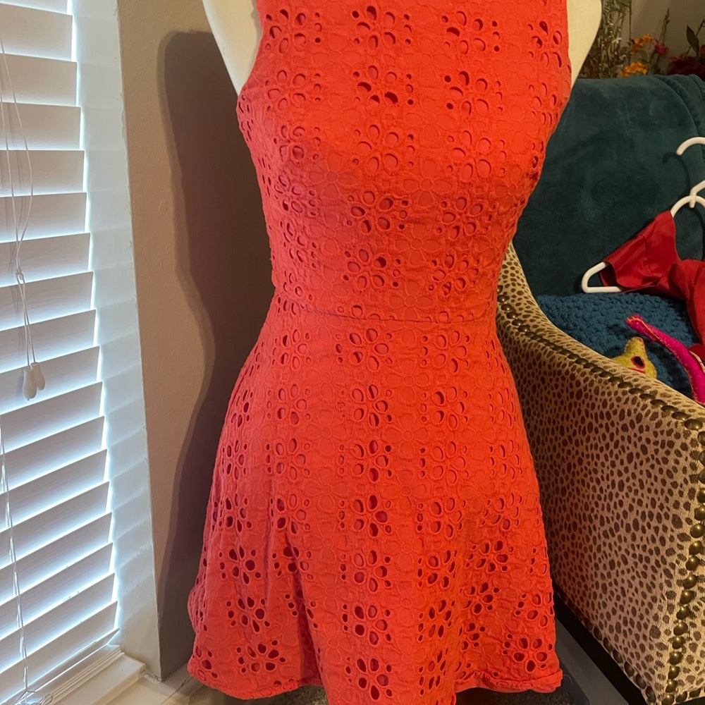 Cynthia Steffe Vibrant Orange Lace Mini Dress